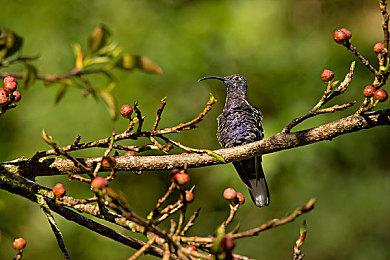 订阅制真香？美国玩家今年在XGP和PS+上花费36亿